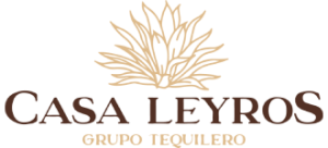 Proyecto nuevo (4)