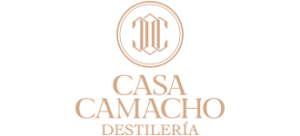 Proyecto nuevo (6)